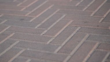 Hareket halindeki bir parkta taş döşeme. Kaldırımda renkli taş fayans arka plan. Bir yaz gününde kırmızı taş bloklar