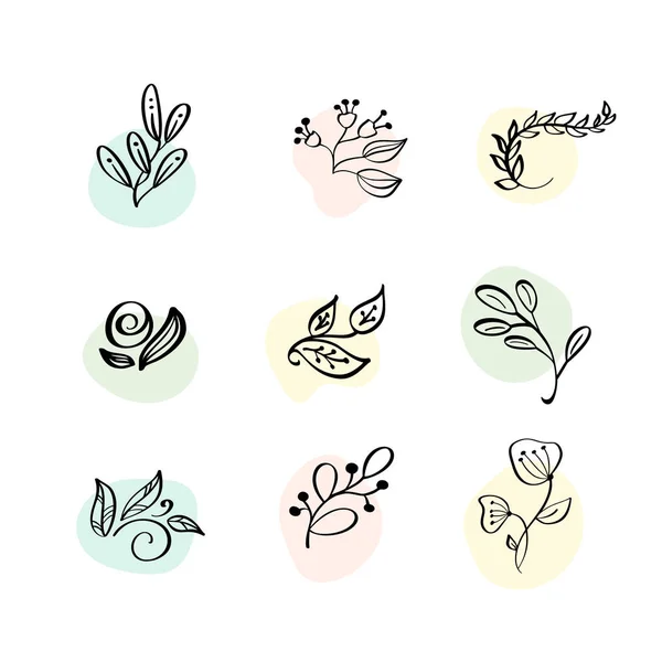 Floral Decoração Branch Leaf Plant Line Stroke Ícone Pictograma Símbolo Set Collection. Logotipo desenhado à mão doodle Vector Ilustração —  Vetores de Stock