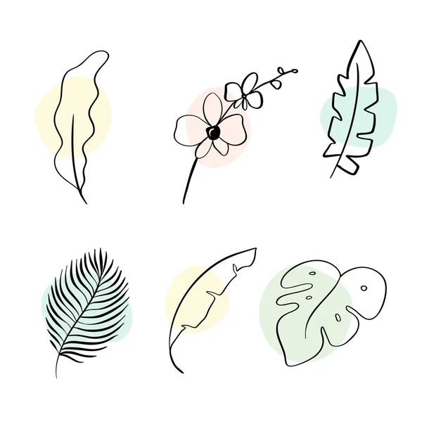 Decoración floral Branch Leaf Plant Line Stroke Icon Pictogram Symbol Set Collection. garabato dibujado a mano Vector Ilustración — Vector de stock