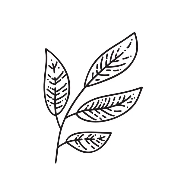 Monolin Herbstblätter von Baum-Logo. umrissenes Emblem in linearem Stil. Vektor abstraktes Symbol für die Gestaltung von Naturprodukten, Blumenladen, Kosmetik, ökologische Konzepte, Gesundheit, Wellness — Stockvektor