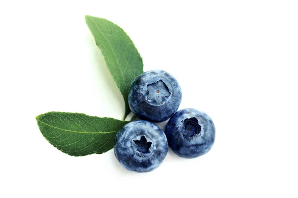 夏季蓝莓孤立在白色背景上。浆果设计。特写顶部视图或平面放置您的文本的位置 — 图库照片