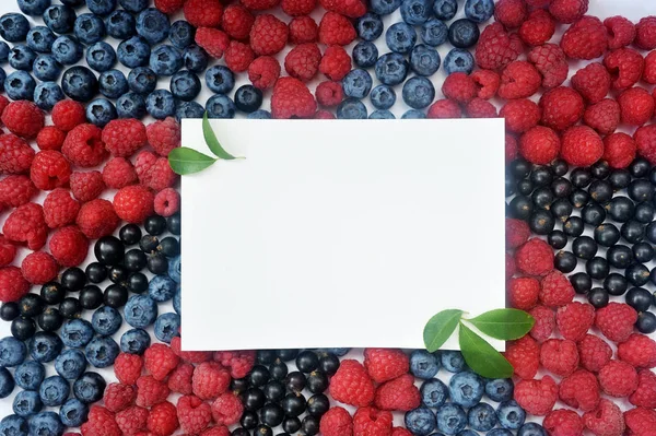 夏季蓝莓,树莓和醋栗模拟框架排毒隔离在白色背景。浆果边框设计。特写顶部视图或平面放置您的文本的位置 — 图库照片