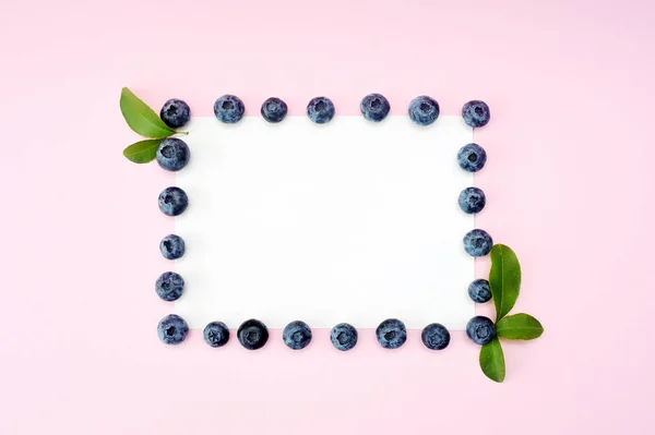 夏季蓝莓圆框隔离在白色背景上。浆果边框设计。特写顶部视图或平面放置您的文本的位置 — 图库照片