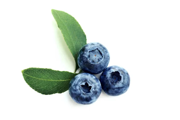 Summer blueberry isolated on white background. Berries for design. Close up top view or flat lay with place for your text Stock Image