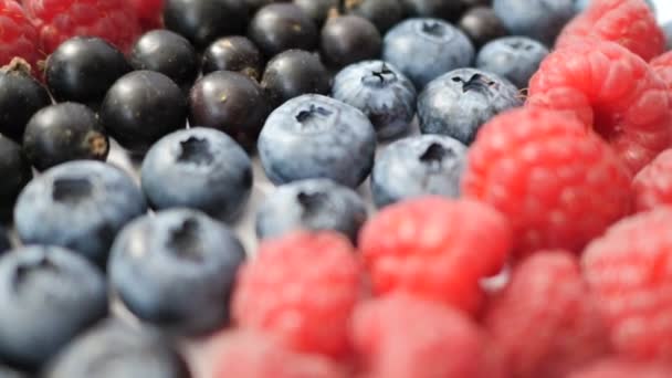 夏季蓝莓,树莓和醋栗心脏框架排毒隔离在白色背景。爱浆果边框设计。特写顶部视图或平面放置您的文本的位置 — 图库视频影像