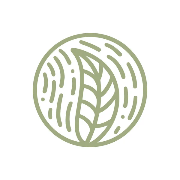 Bio emblema rotondo in stile circolare lineare. Logo delle foglie verdi vegetali tropicali. Distintivo astratto vettoriale per la progettazione di prodotti naturali, negozio di fiori, cosmetici, concetti di ecologia, salute, spa, centro yoga — Vettoriale Stock