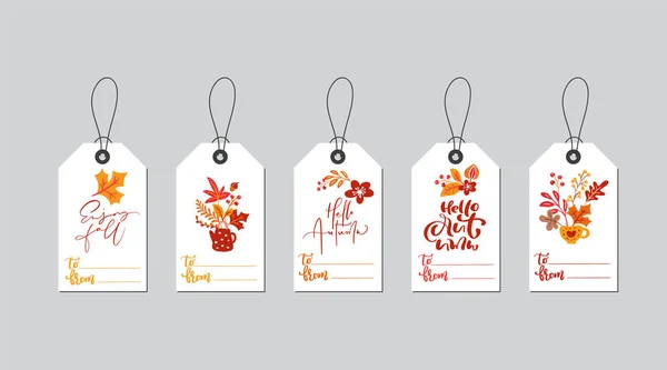 Sonbahar kaligrafi ile vektör sonbahar hediye kutusu etiketleri ayarlayın. Şükran dekor için el çizilmiş doodle vektör illüstrasyon. Düz tasarım — Stok Vektör