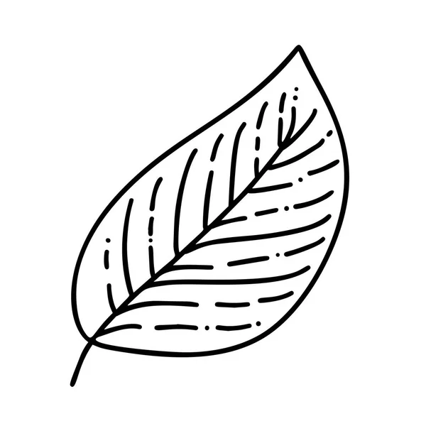ベクトルシンボルアイコン。手描き落書きツリーリーフロゴ。幸せな感謝祭の日グリーティングカードテンプレートのデザインは、白い背景に隔離 — ストックベクタ
