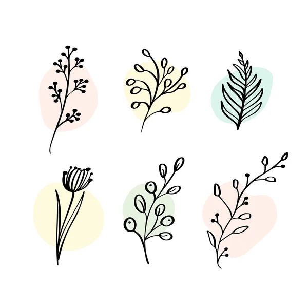 Vettore Set elementi botanici fiori di campo, erbe. Raccolta giardino e fogliame selvatico, fiori, rami. Illustrazione piante isolate su sfondo bianco — Vettoriale Stock