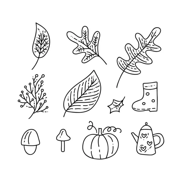 Conjunto de vectores monolina doodle elementos florales. Diseño gráfico de colección de otoño. Hierbas, hojas, botas, taza y calabaza. Decoración de otoño moderna de acción de gracias dibujada a mano — Archivo Imágenes Vectoriales