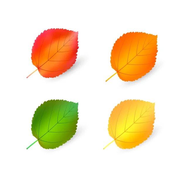 Jesienny zestaw liści, wiązka wektorowa siatka ilustracji. Izolowane na białym tle. Prosty kreskówkowy styl wielokolorowy — Wektor stockowy