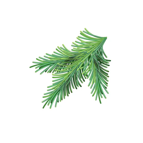 Jul grön frodig Gran gren. FIR-Tree nytt år mesh Branch. Vektor illustration element av design isolerad på vitt — Stock vektor