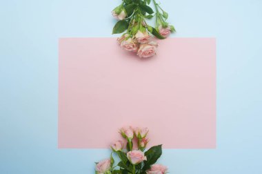 boş pembe kağıt çarşaf ve pembe gül tomurcukları, şenlikli arka plan, kopyalama alanı