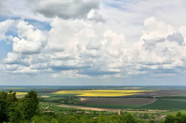 Küçük tepelerdeki yeşil çayır ve bulutlu mavi gökyüzü