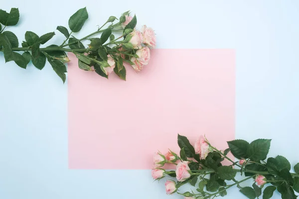 empty pink paper sheet and buds of pink roses, festive background, copy space