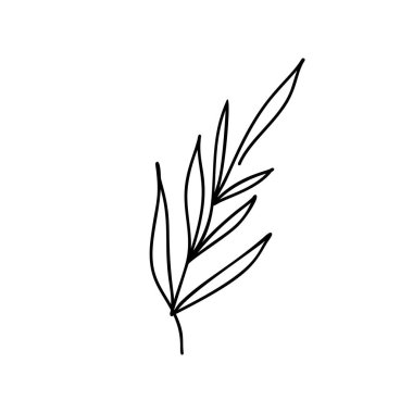 Vektör çiçek el zarif ve minimal tarzı logo elemanı çizilmiş. Yalıtılmış nesne, yapraklarla dal. rozetler için illüstrasyon, etiket logo türleri