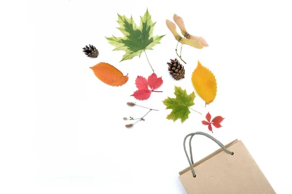 Folhas de outono e cones no fundo branco com pacote. queda flat lay, vista superior objetos criativos. Elementos para o projeto do dia de Ação de Graças — Fotografia de Stock