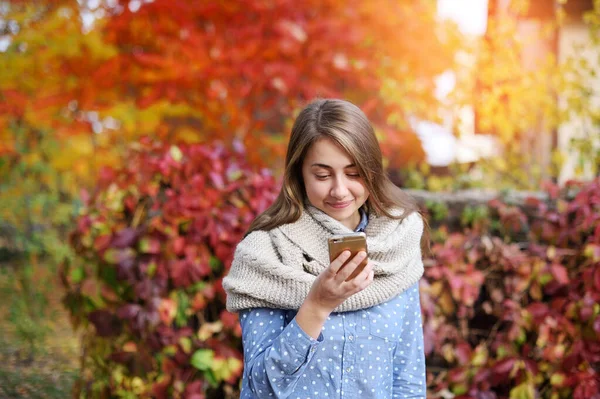 Teléfono inteligente Autumn mujer escribiendo sms en el teléfono móvil en otoño. Chica de otoño que tiene conversación de teléfonos inteligentes en el follaje de la bengala del sol. Retrato de raza mixta Mujer joven asiática caucásica en el bosque en otoño — Foto de Stock