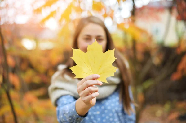 Excited happy fall woman smiling joyful and blissful holding autumn leaves outside in colorful fall forest. Beautiful energetic race Caucasian young woman — Stock Photo, Image