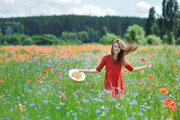 Arka plan yaz poz haşhaş çiçek alanında hasır şapka lovely genç romantik kadın. Hasır şapka takıyor. Yumuşak renkler — Stok fotoğraf