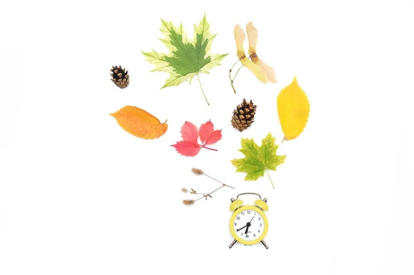 秋の時間変化、秋に戻る、感謝祭のカエデの葉と白い背景に隔離された目覚まし時計 — ストック写真