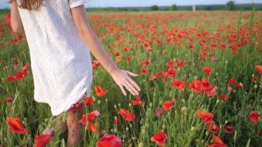 Kırsal alan, kırmızı gelincik çiçeklerini okşayan bir kadın. Büyük afyon tarlası, güzellik doğası konsepti.