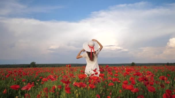 白いドレスと夏にはポピーの花のフィールドに帽子で幸せな女性は、青い深い空と雲。バックビュー。ビデオ映像フルHD — ストック動画