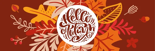 Karta okolicznościowa z tekstem Hello Autumn panoramic banner. Pomarańczowe liście klonu, wrzesień, październik lub listopad liści, dąb i brzoza, jesień charakter sezon sztandar projekt — Wektor stockowy
