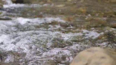 Vahşi Dağ Nehri, Berrak Nehir 'i kapatın. Taştan kayaların aktığı Gevezelik Deresi 'nin detaylı görüntüsü. Swift Sulama Suyu 'nda Rock Rapid. Ukrayna, Karpatyalı. Tam HD Görüntü Çekimi