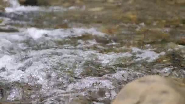 Wild Mountain River Närbild riklig Clear Stream. Detalj Statisk Skott av Babbling Creek med stenblock som flyter. Rock Rapid i Swift Splashing Water. Ukraina, Karpaterna. Filmklipp i full HD — Stockvideo