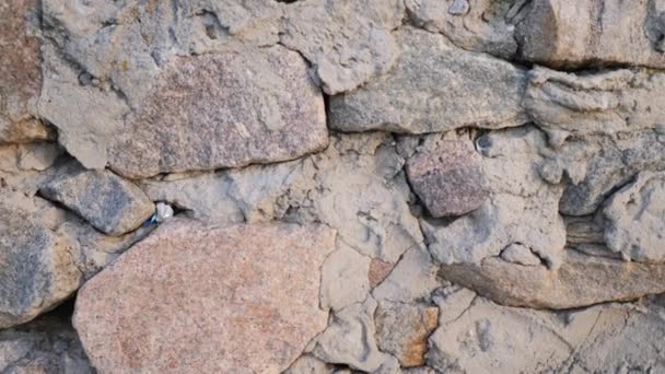 Textura de piedras viejas de varias formas con costuras. Primer plano de albañilería en mal estado. Pared de piedra de diferentes adoquines friables antiguos desiguales. — Vídeos de Stock