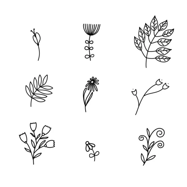 Conjunto de esboços vetoriais e logotipo doodles linha. Elementos de design desenhados à mão flores isoladas, folhas, ervas para impressões de decoração, rótulos, padrões. Ilustração livro para colorir — Vetor de Stock