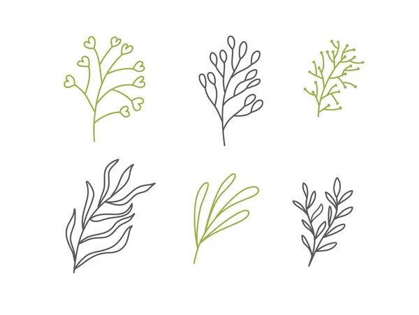 Ensemble de croquis vectoriels et de griffes de ligne logo bio. Eléments de design dessinés à la main fleurs isolées, feuilles, herbes pour les impressions de décoration, étiquettes, motifs. Illustration livre à colorier — Image vectorielle