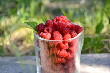 Bir cam ahududu. Yaz organik çilek