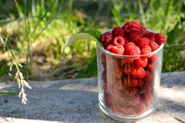 Bir cam ahududu. Yaz organik çilek