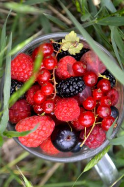 Bir fincan taze organik yaz meyveleri