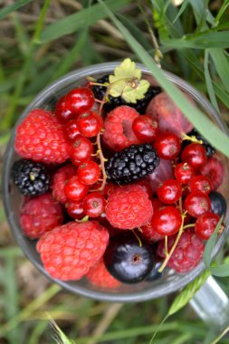 Bir fincan taze organik yaz meyveleri