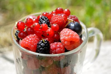 Bir fincan taze organik yaz meyveleri