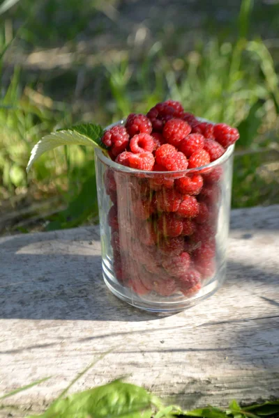 Bir cam ahududu. Yaz organik çilek