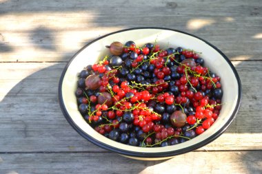 Bir plaka ahşap arka plan üzerinde kırmızı ve siyah frenk üzümü