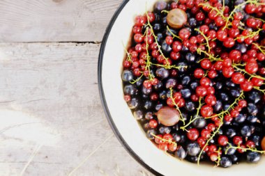 Bir plaka ahşap arka plan üzerinde kırmızı ve siyah frenk üzümü