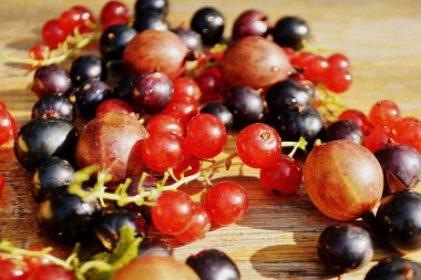 Ahşap arka plan üzerinde kırmızı ve siyah frenk üzümü. Yaz berry