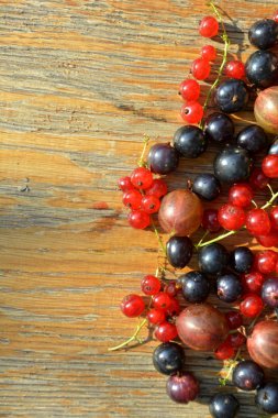 Ahşap arka plan üzerinde kırmızı ve siyah frenk üzümü. Yaz berry