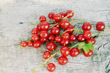 Ahşap arka plan üzerinde kırmızı kuş üzümü. Yaz berry