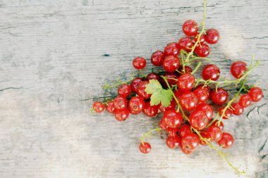 Ahşap arka plan üzerinde kırmızı kuş üzümü. Yaz berry