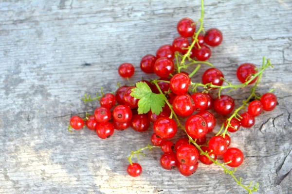 Red Currant Wooden Background Summer Berry — Stock Photo, Image