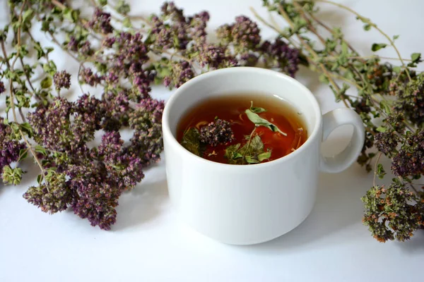 Cup of herbal tea and herbs on a light background.