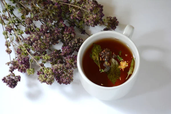 Cup of herbal tea and herbs on a light background.