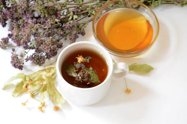 Csésze Gyógynövény Tea Méz Gyógynövények Világos Háttér Másolja Hely — Stock Fotó
