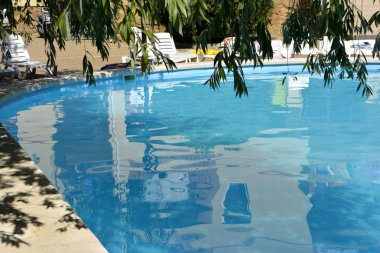 Yüzme havuzu ve ağaç dalı. Mavi su